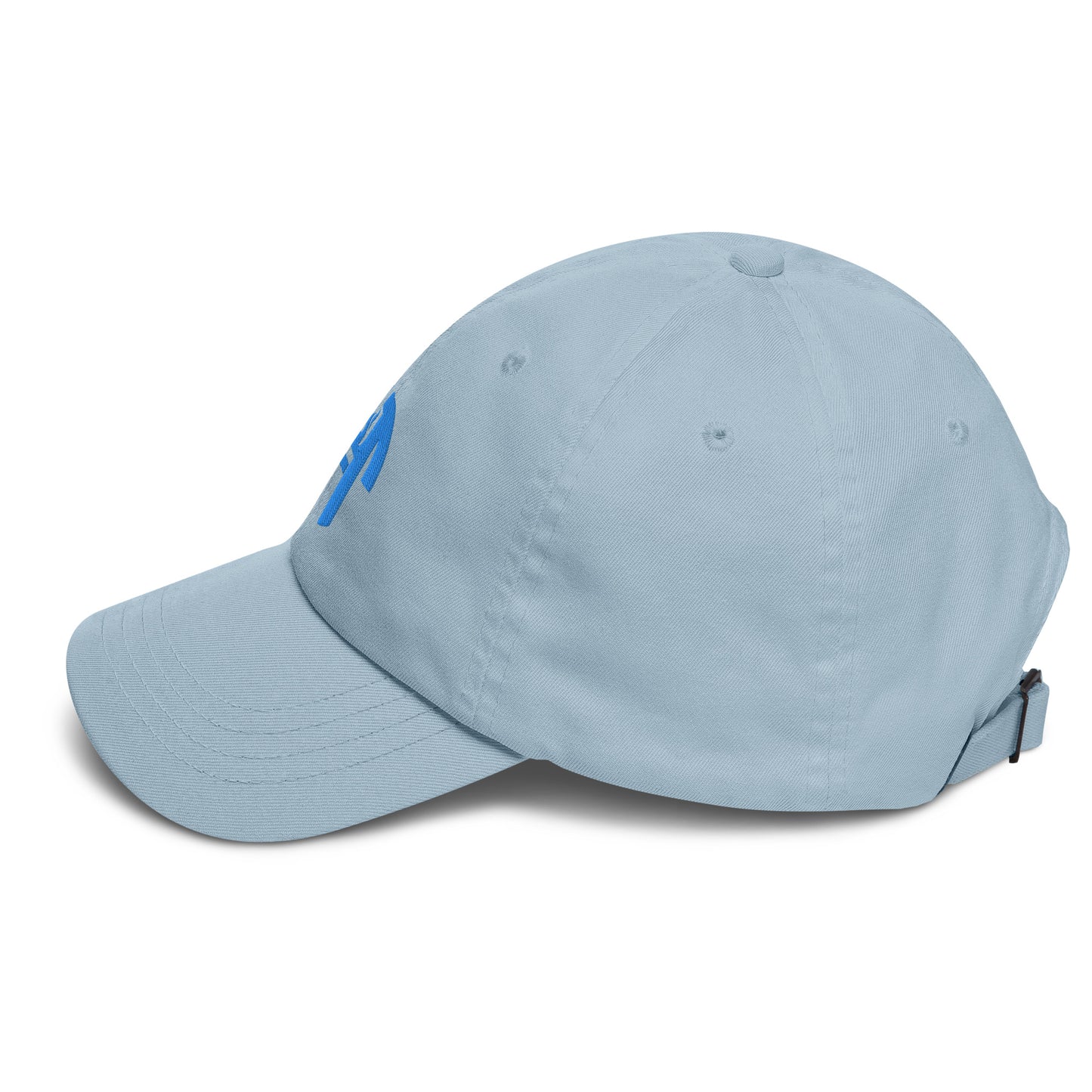 HFT Dad Hat