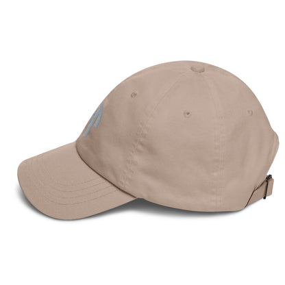 HFT Dad Hat